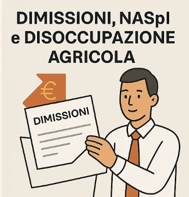 Assistenza per dimissioni online e richiesta NaspI